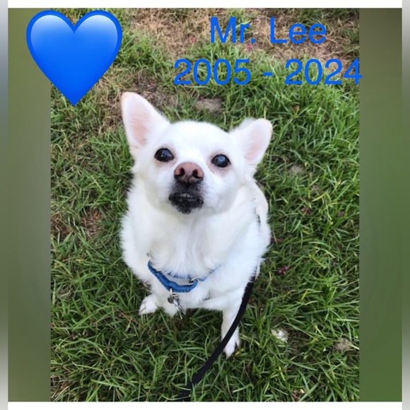 Meet your Posher, Mary - Picture 5 of 16